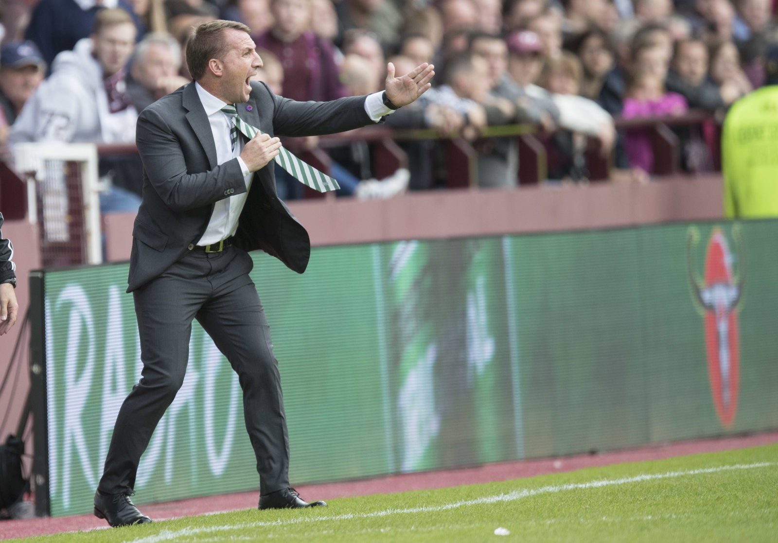 Hearts v Celtic: Ladbrokes Scottish Premiership