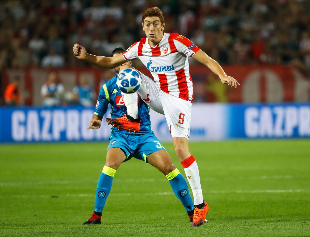 Red Star Belgrade v SSC Napoli - UEFA Champions League Group C
