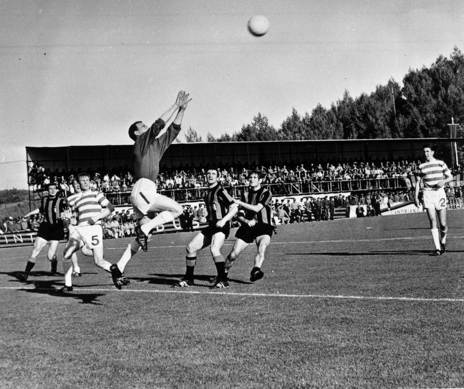 Celtic Save
