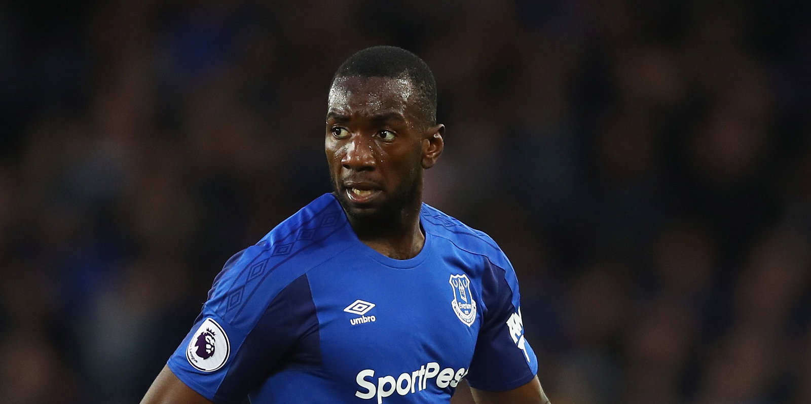 Everton v Newcastle United - Premier League