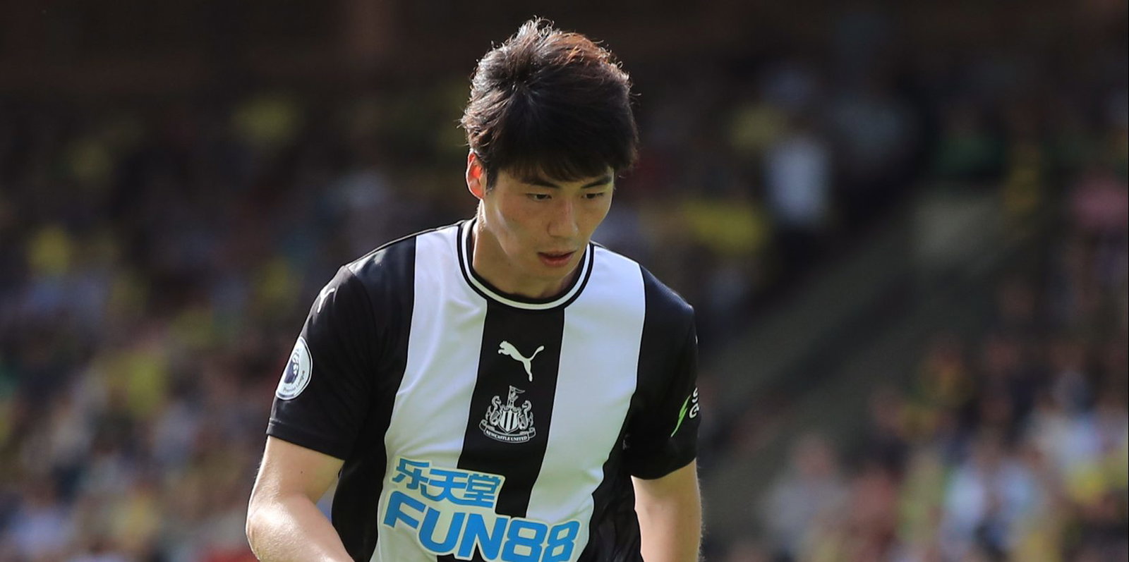 Norwich City v Newcastle United - Premier League