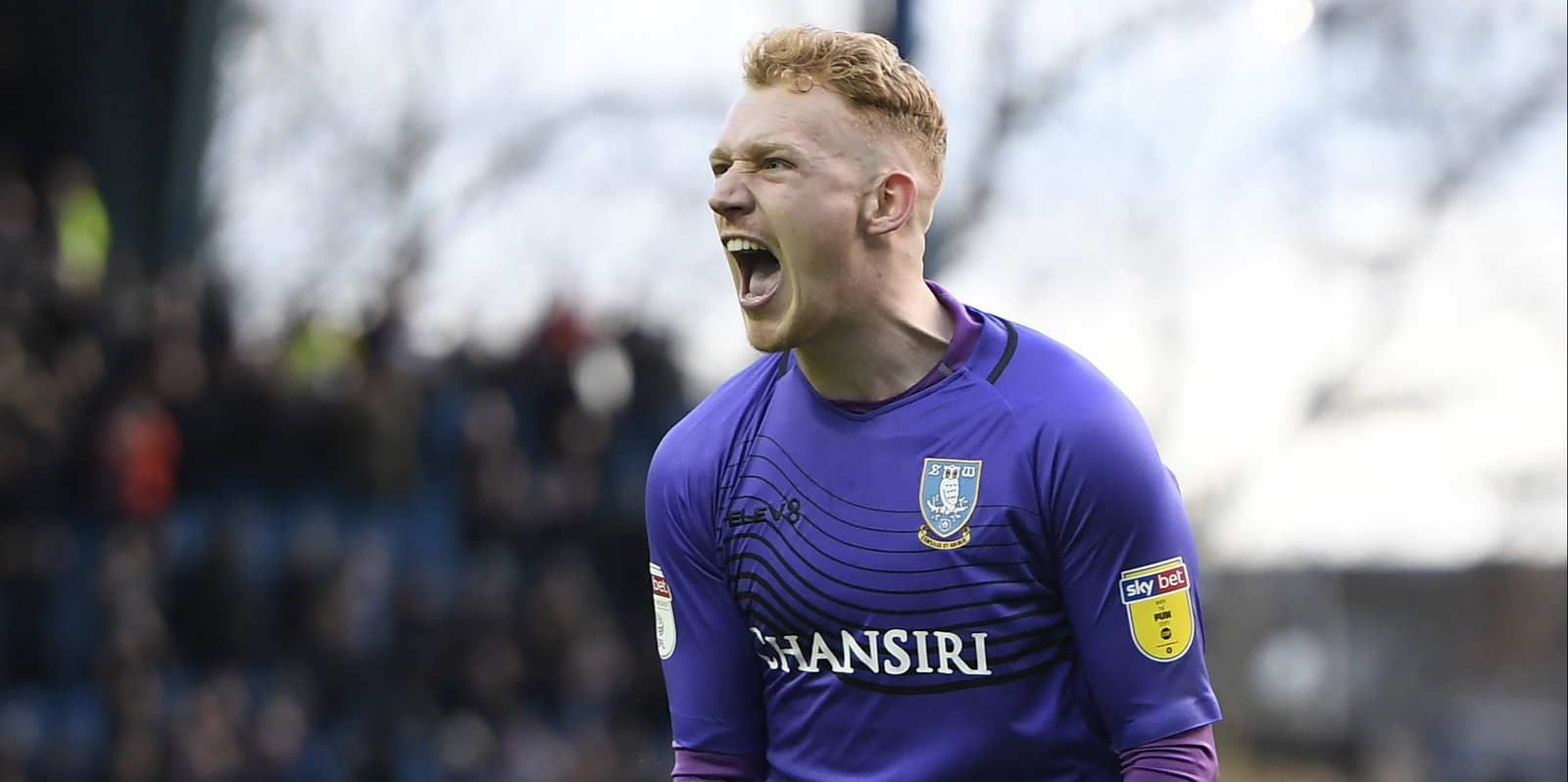 Sheffield Wednesday v Bristol City - Sky Bet Championship